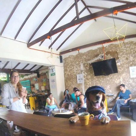 Panela Medellin Hostel Екстериор снимка