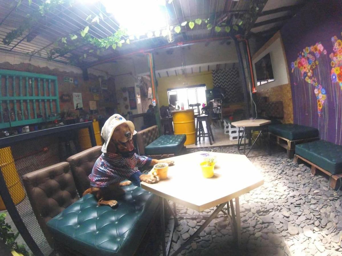 Panela Medellin Hostel Екстериор снимка