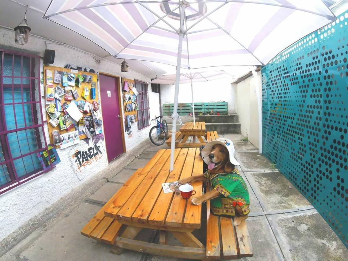 Panela Medellin Hostel Екстериор снимка